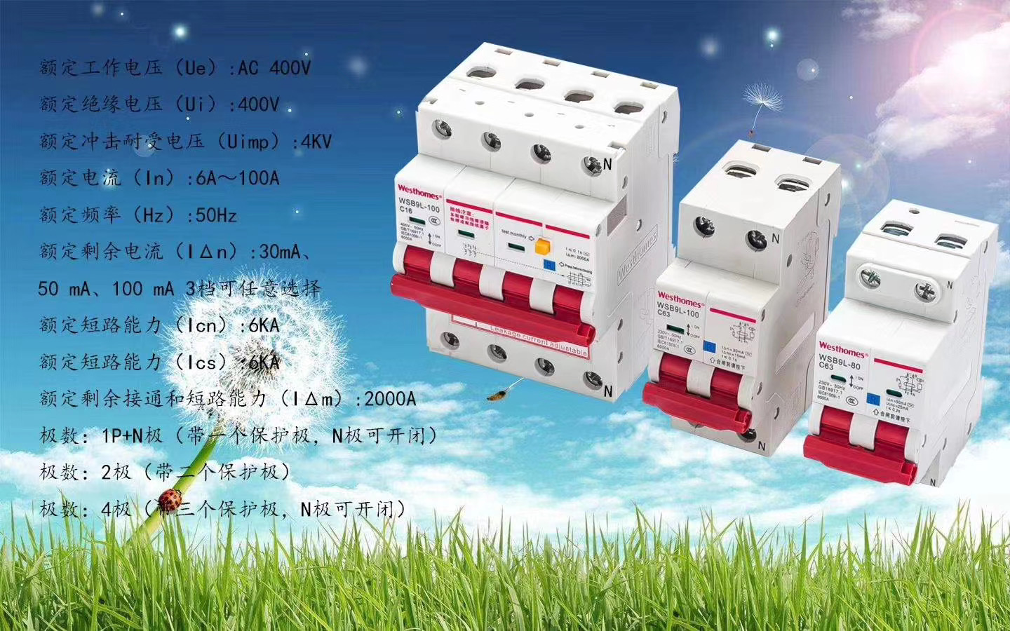 New Launch of Residual Current Protective Breaker (Earth Leakage Circuit Breaker)(圖1)