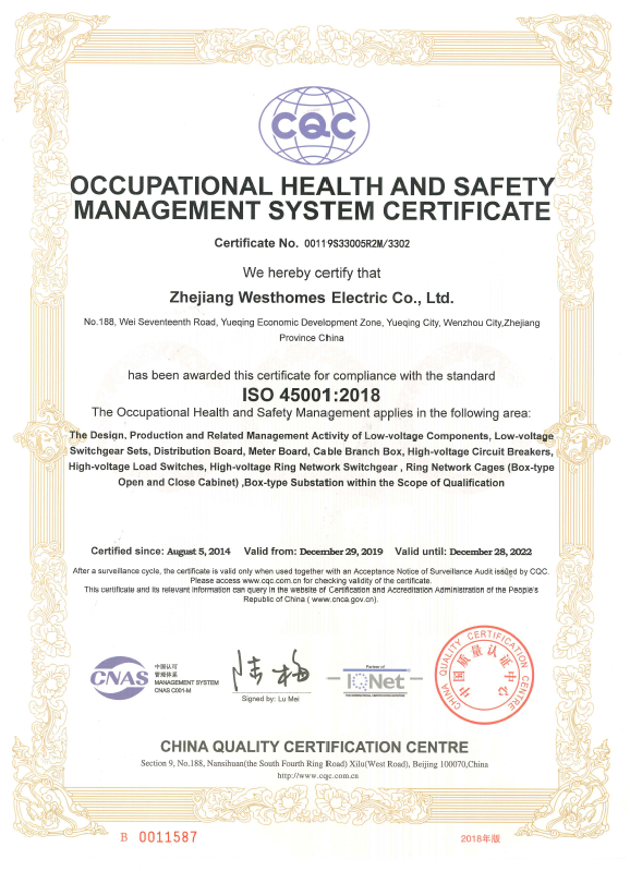 ISO45001:2018(圖1)